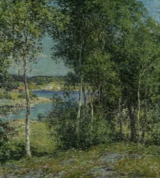 Eine Familie von Birken